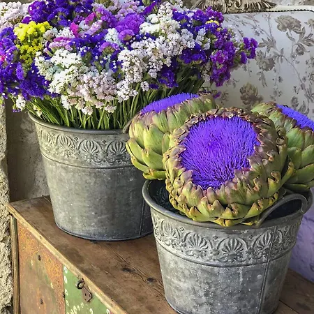 128a 2* 阿拉恰特